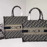 Dior Book Tote Bag