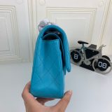 Chanel Classic Double Flap 25 Shoulder Bag