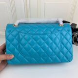 Chanel Classic Double Flap 25 Shoulder Bag