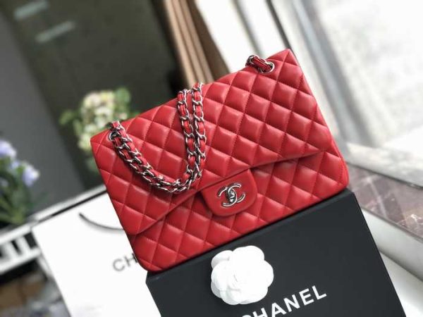Chanel Classic Double Flap Shoulder Bag